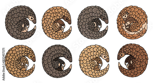 Cute pangolins in various colors with transparent background
