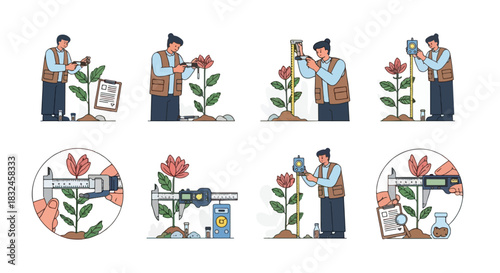 Plant growth measurement and research process