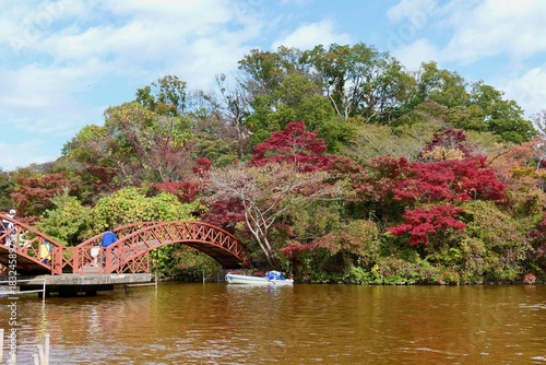 横浜, こどもの国の白鳥湖と紅葉
