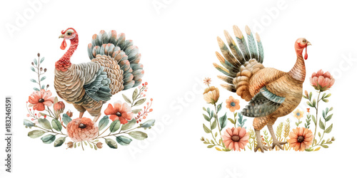 turkey and flowers watercolor vector illustration
