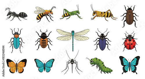 A colorful collection of diverse cartoon insects, bugs, and arthropods, ideal for educational content or children's materials.