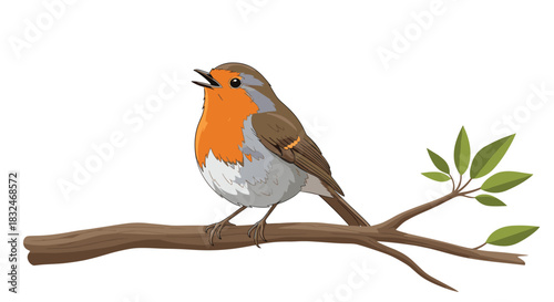 A cheerful European robin with an orange-red breast sings on a brown tree branch adorned with green leaves against a white background.