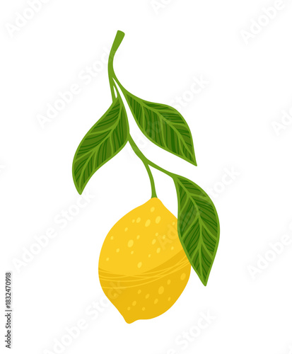 Lemon tree branch textured vector illustration. Citrus twig leafage lemon with leaves. Fresh juicy citrus abstract whole yellow lemon art. Decorative fruits painting hand drawn design elements