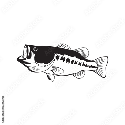 Leaping Fish vector Illustration Monochrome