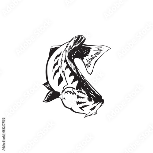 Leaping Fish vector Illustration Monochrome