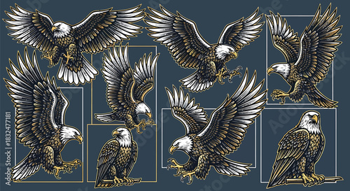 A striking set of bald eagles in various poses, capturing powerful flight, graceful landings, and watchful perching, symbolizing strength, freedom, and the wild