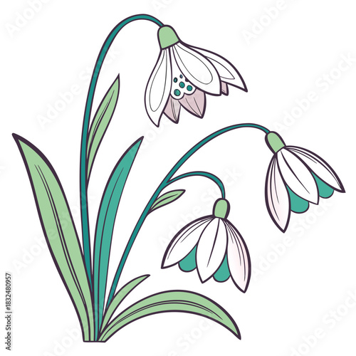 Snowdrop Flower Art with Leaves and Stems