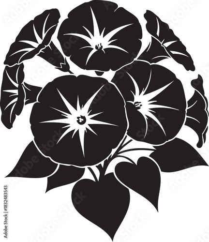 Black and white graphic illustration of morning glory flowers and leaves vector