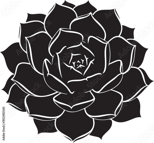 Black and white graphic of a succulent plant with layered petals vector