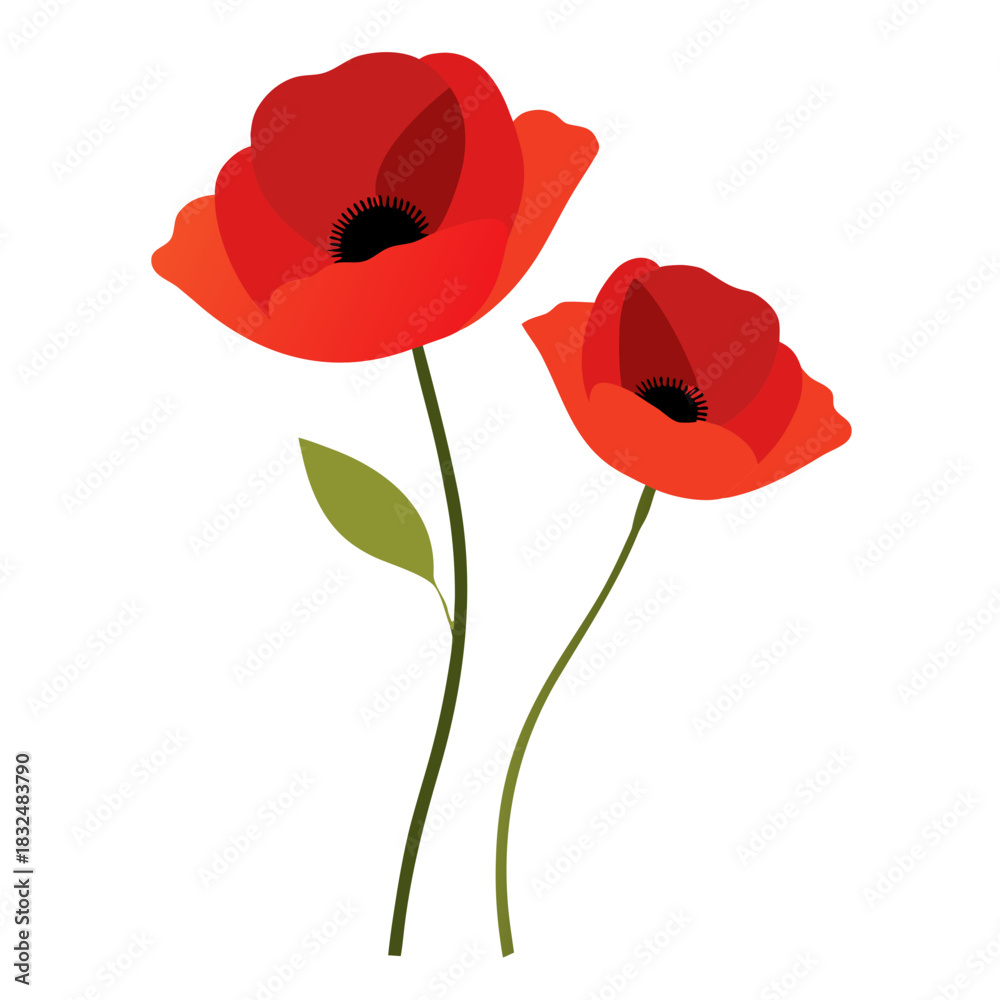 Obraz premium of two red poppies with black centers on long green stems, no background vector file.