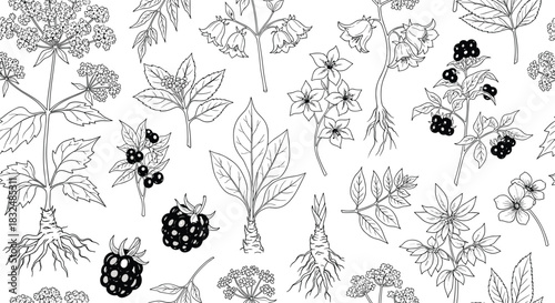 Seamless monochrome pattern of medicinal plants like ginseng, belladonna, and horseradish, in a detailed vintage botanical style.