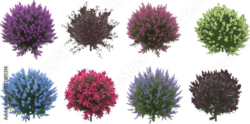 Diverse Colorful Shrubs and Blooming Bushes Isolated on White, Perfect for Garden Design Elements