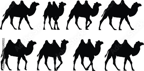 Detailed camel silhouette collection featuring various walking poses and side profiles, ideal for desert wildlife vector illustration, travel design themes, cultural artwork, and educational projects