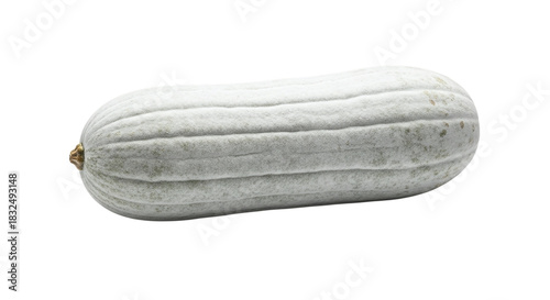 A single fresh ash gourd, also known as winter melon or wax gourd, with a light greengrey skin, isolated on transparent background