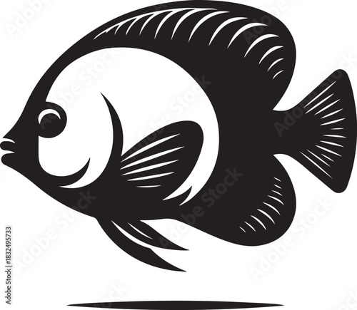 fish vector illustration