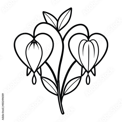Bleeding heart flower outline vector illustration isolated on white background
