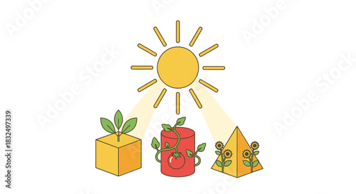 Sunlight's Impact Cultivating Plant Growth in Diverse Geometric Forms