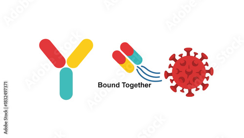 Antibody Molecules Binding to Virus Particles Immune System Response and Viral Defense