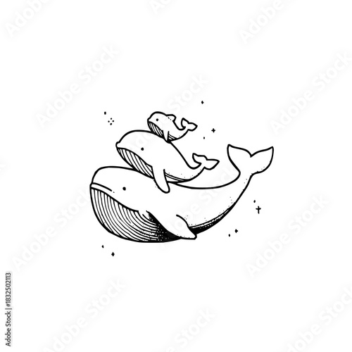 Whale family ocean sea life marine mammal aquatic animal wildlife illustration drawing graphic design art print