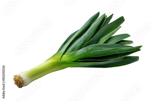 Fresh green leek vegetable with white base and fibrous roots on black food, Isolated On White Background, Png Transparent
