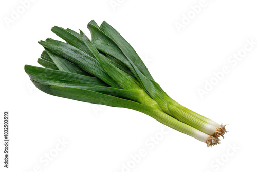 Two fresh green leeks with white bases and roots on black background image