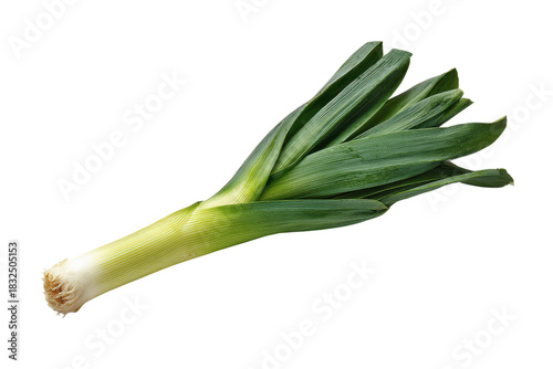 Single fresh green leek vegetable with white stem on black background image