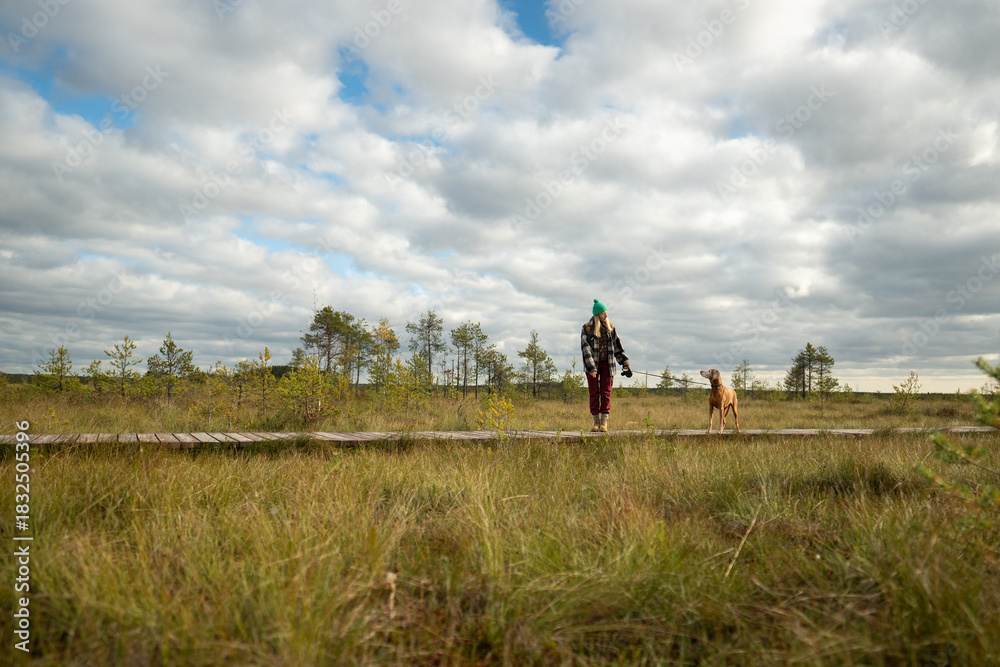 Fototapeta premium Woman hiker in marshy autumn peat together with dog, stepping on wooden trail over raised sphagnum bog. Female explorer pet owner on weekend morning walk at wetland with pet on cloudy fall day.