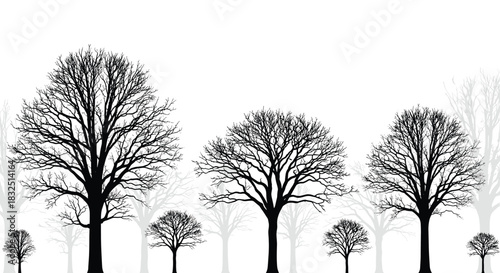 The silhouette of bare trees in a row with faint trees in the background.