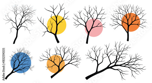 Abstract bare tree branches with colorful circular background elements.