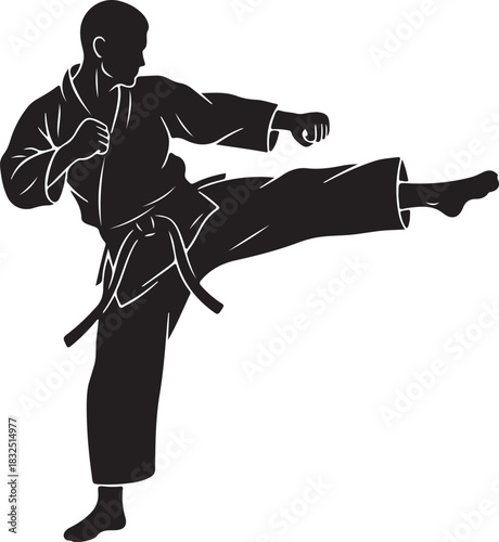 Silhouette of a karate expert performing a powerful side kick technique