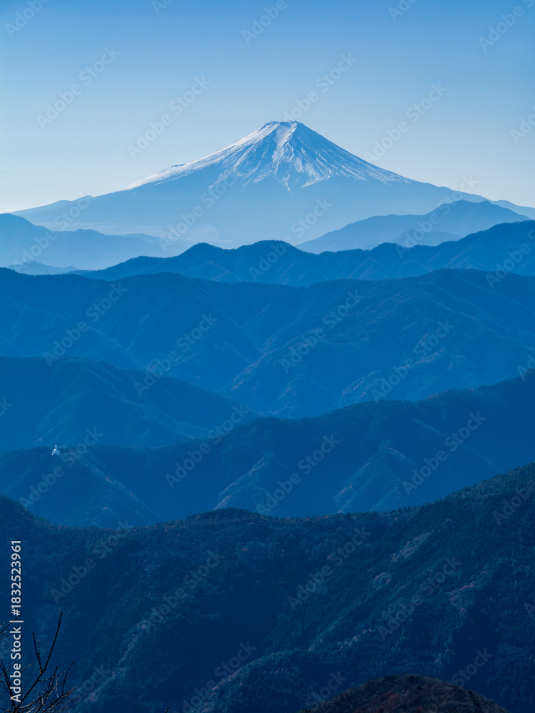 Fototapeta premium 鷹ノ巣山から望む富士山