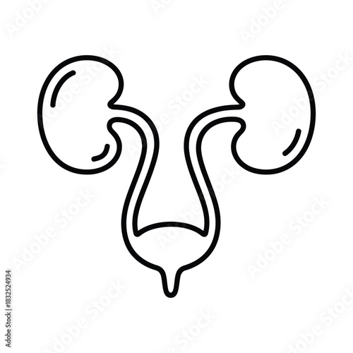 Human Urinary System Icon: Kidneys and Bladder Anatomy Outline