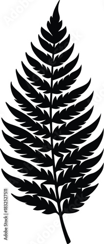 Black fern leaf silhouette detailed botanical foliage