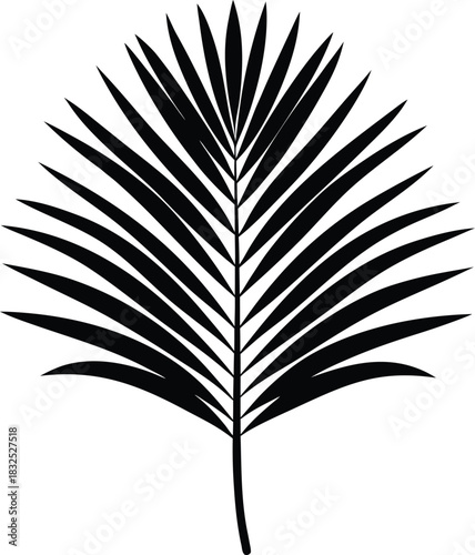 Black palm leaf silhouette on background frond tropical