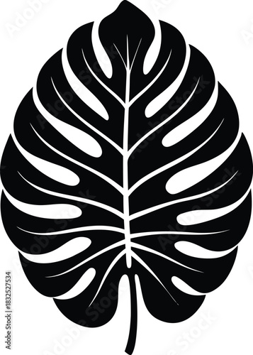 Black monstera leaf silhouette on background tropical