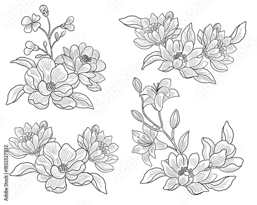 Elegant Lily and Aster Hand Drawn Flower Arrangement