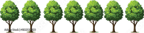 Seven healthy deciduous trees standing in a perfect row on a white background, isolated digital illustration for seamless forest creation, ecological conservation, nature park landscaping, 