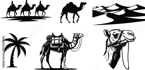 Monochrome vector art set with caravan camels palm tree saddled pack animal desert dunes and close up camel head profile in bold silhouette style