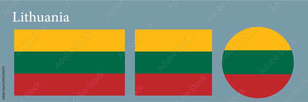 Obraz premium set of flags of the Lithuania icon vector illustration 