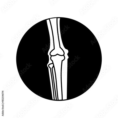 knee bone xray radiology medical icon line icon black background  silhouette.eps