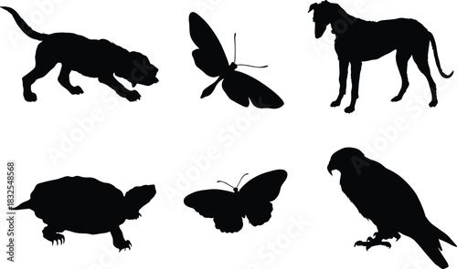 Black silhouettes of bird, butterfly, dragonfly, dog, and turtle, representing wildlife, pets, insects, nature diversity, freedom, and animal life in a clean minimal style.