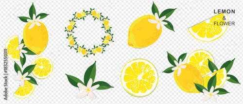 Vector set of isolated elements: fresh lemons, slices, green leaves, and flowers. Citrus wreath. Bright summer clipart for packaging, menus, and drink and card design.

