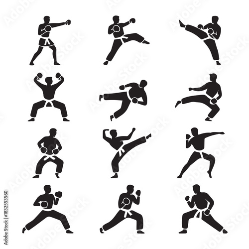 Martial Arts Fighting Poses Icon Set