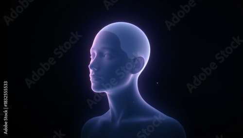 3d rendered illustration of a human head