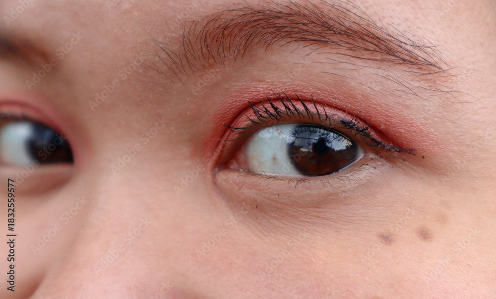 Obraz premium Beautiful Asian woman eyes with simple makeup. attractive pretty woman lady with good vision sight eyesight with long eyelashes natural makeup, ophthalmology