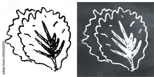 Chalk Handdrawn Lettuce Vector Ideal for menu, recipe, healthy eating, and garden graphics in a rough chalkboard style. Symbolizes fresh produce, salad, and simple cooking.