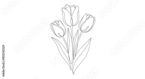 Minimalist Line Art Illustration of Elegant Tulip Bouquet with Fine Detailing