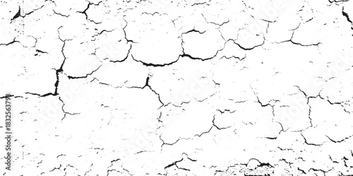 Cracked Earth Texture A Study in Drought and Aridity.
