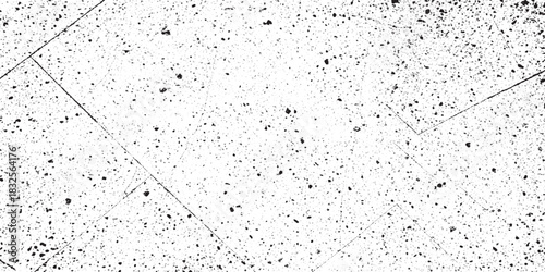 Terrazzo Flooring with Dark Aggregate and Grout Lines.