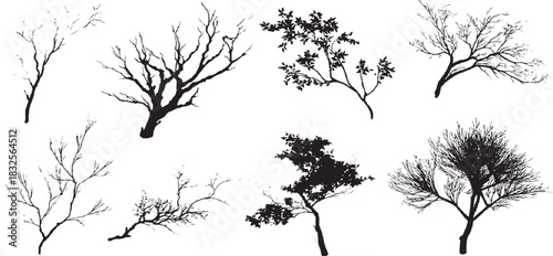 Collection of ten diverse gray stippled trees with varied canopy shapes and trunk Collection of ten diverse hand drawn trees in grey tones with varied textures 